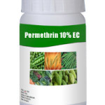 Permethrin-10-EC