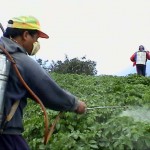 pesticide-spray besemer