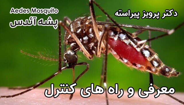 پشه آئدس - Aedes mosquito